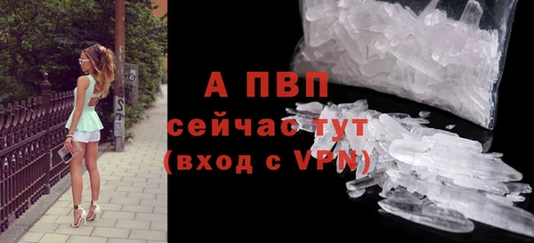 дживик Абаза