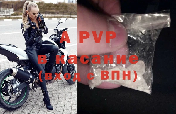 дживик Абаза