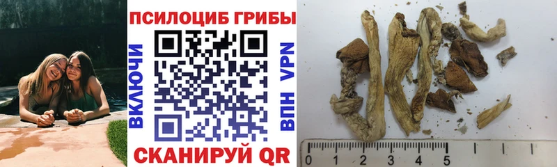 blacksprut как зайти  это как зайти  Галлюциногенные грибы Psilocybine cubensis  как найти   Магнитогорск 